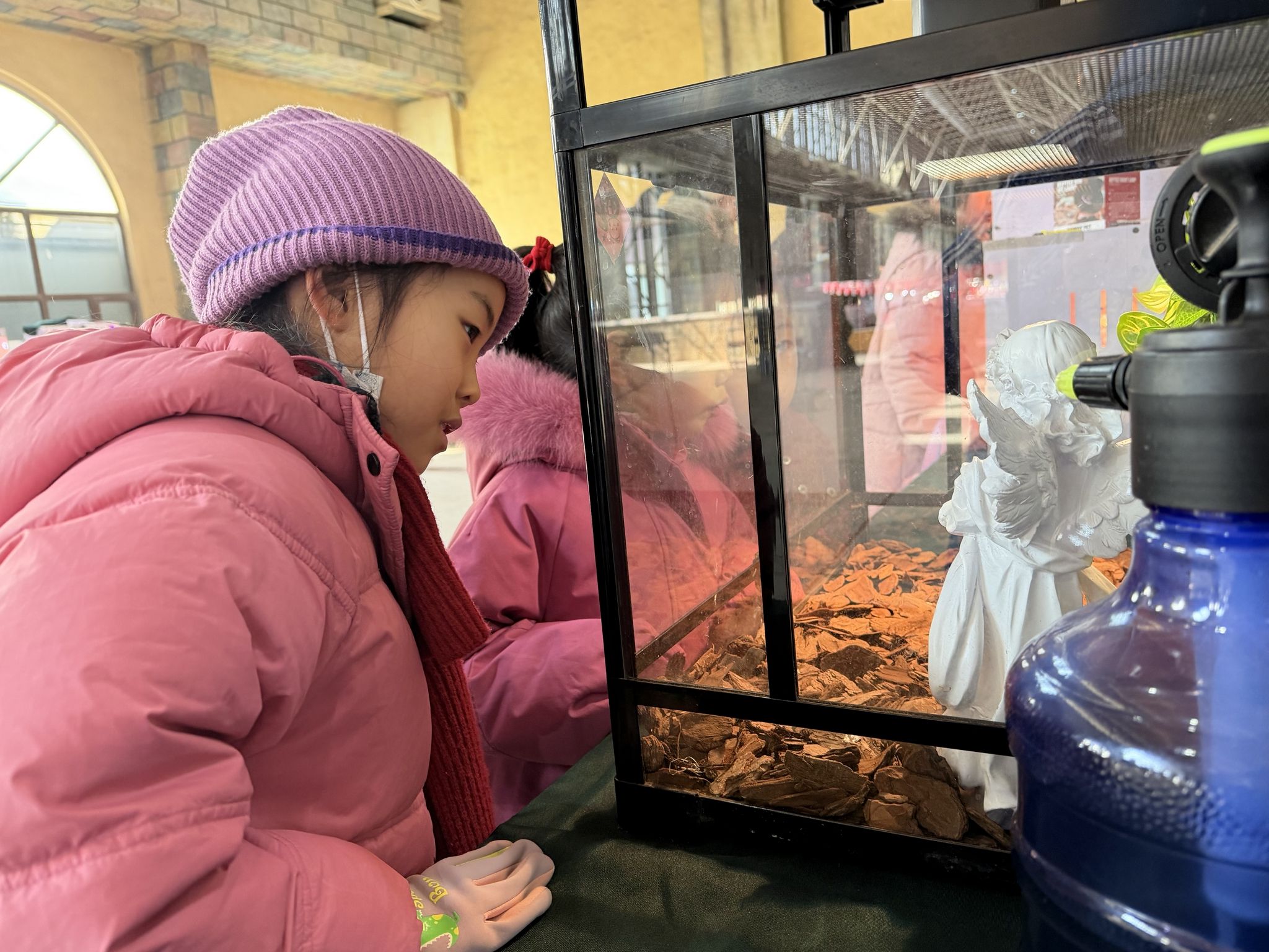 20261770519216903 2K