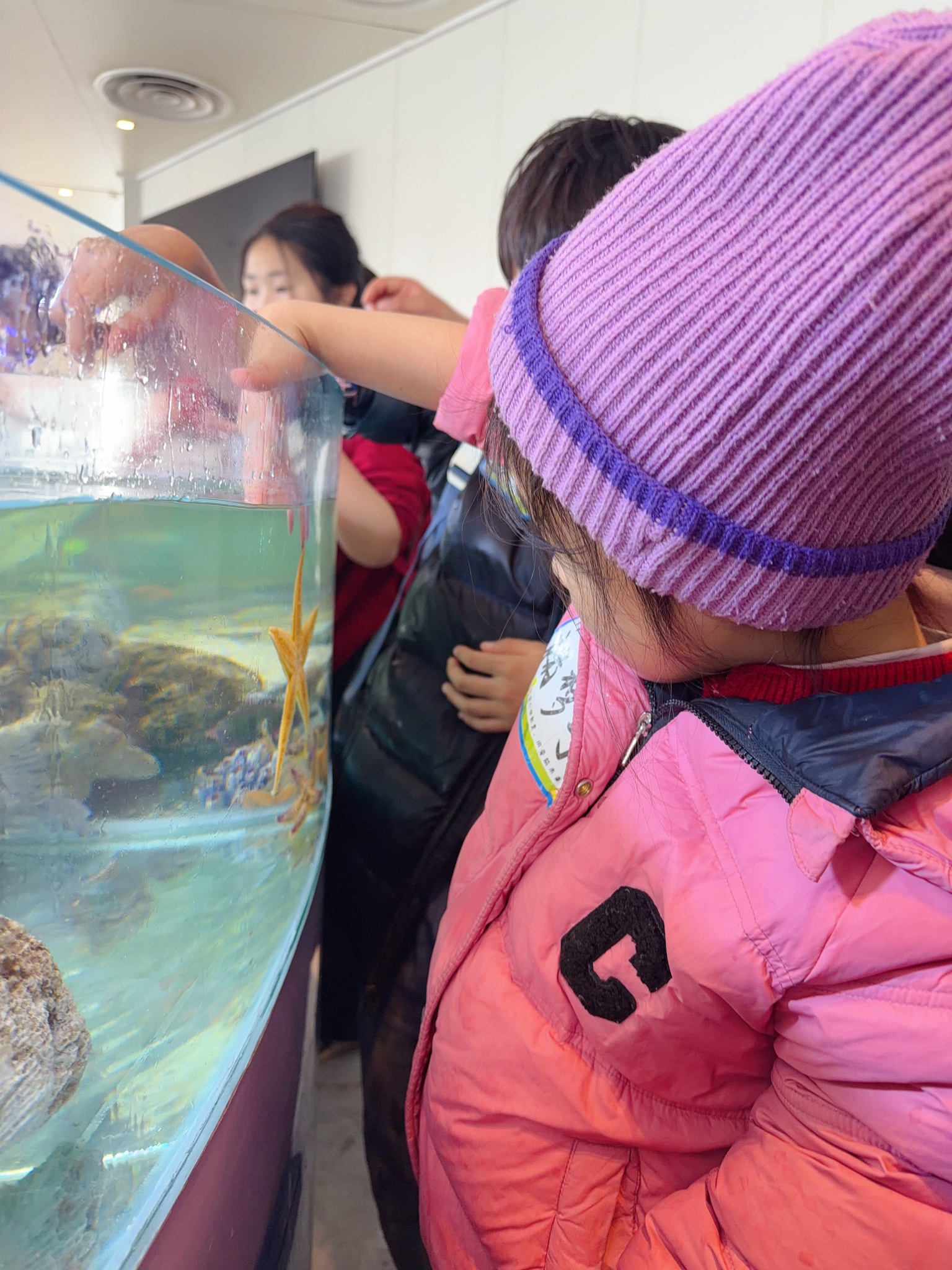 20261774157616332 2K